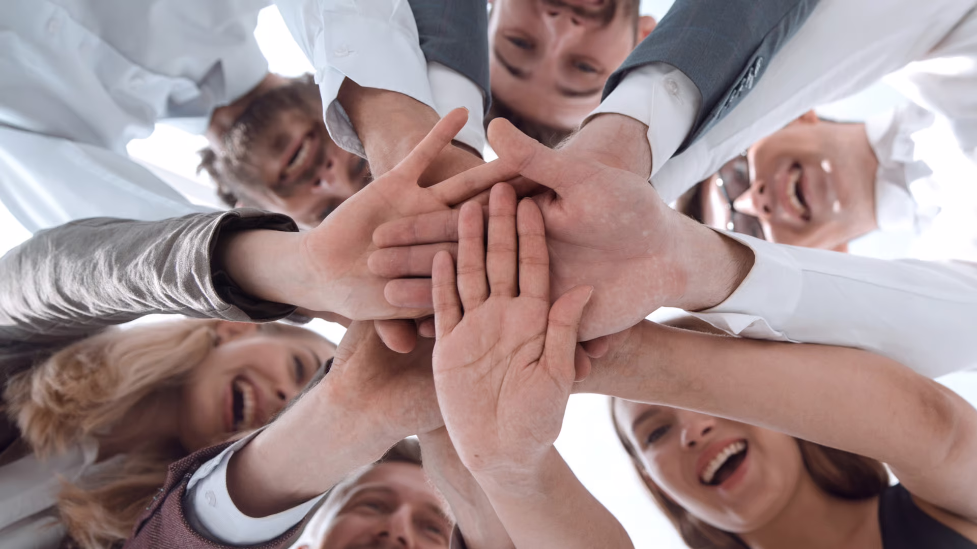 Sales Force Assessment